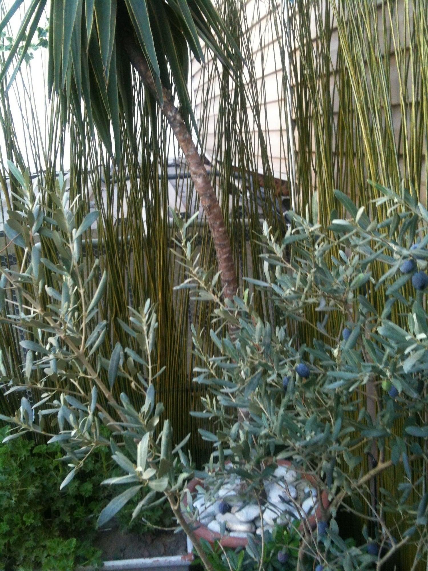 Guzel Izmir Hotel מראה חיצוני תמונה